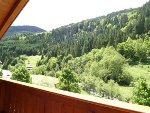 Příroda nedaleko apartmánu