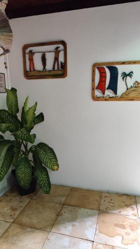 a room with two mirrors and a plant on a wall at Pousada Preguiça in Canoa Quebrada