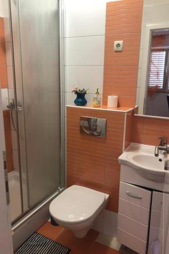Apartments with hot tub Hvar - 21877