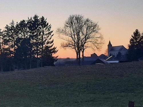 a field with a house and a tree at sunset at Peaceful Woodland Chalet in Beulk