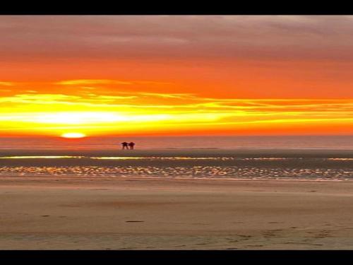 two people standing on the beach at sunset at Chalet Escape in Antwerp in Beulk