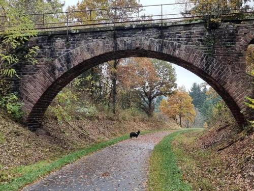 a dog walking down a dirt road under a bridge at Chalet Escape in Antwerp in Beulk
