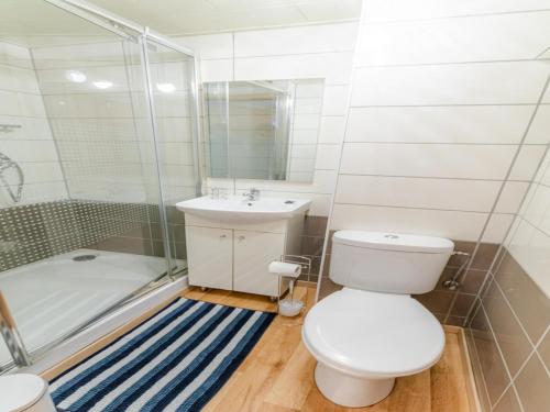 a bathroom with a toilet and a shower and a sink at Country House near Coo Waterfalls with Jacuzzi in Stoumont