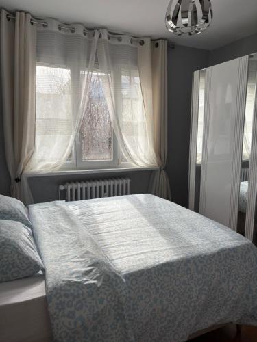 une chambre avec un lit et une fenêtre dans l'établissement Grand appartement centre ville, à Mulhouse