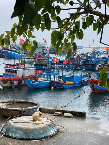 Landskap semula jadi dekat dengan hotel