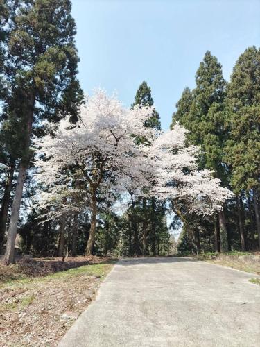 Galería fotográfica de アトリエFumi en Itoigawa