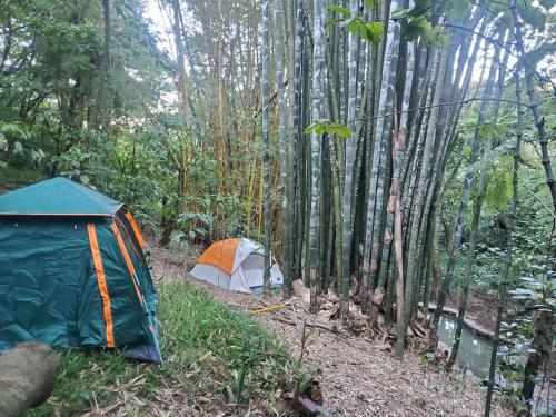 Campamento equipado de bosque