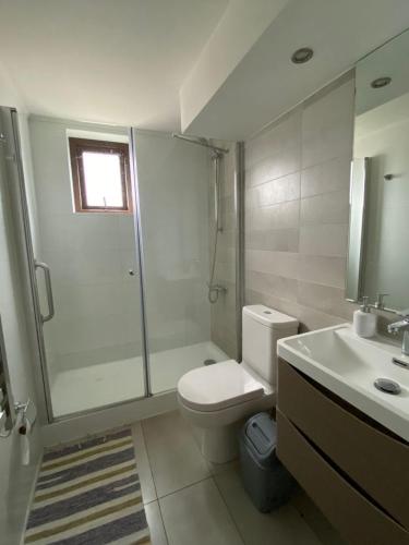 a bathroom with a shower and a toilet and a sink at Amplio,centrico y bello in Puerto Varas