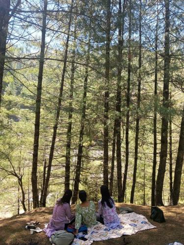 three girls sitting on a blanket in the woods at Apple Land by Naavagat in Jibhi