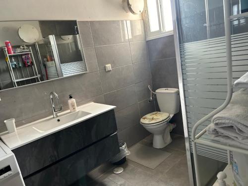 un bagno con lavandino e WC di סוויטות עין השמש eye sun ad Arad