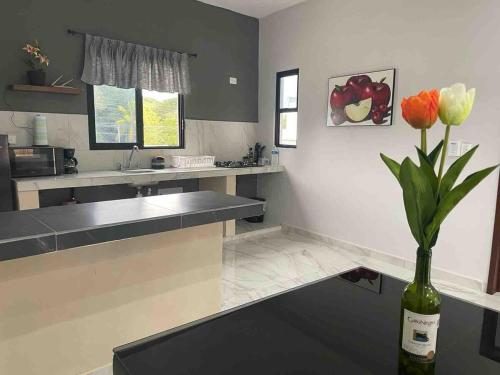 a kitchen with a vase with flowers in it at Dina's apartment, a charming place with Tina in Valladolid