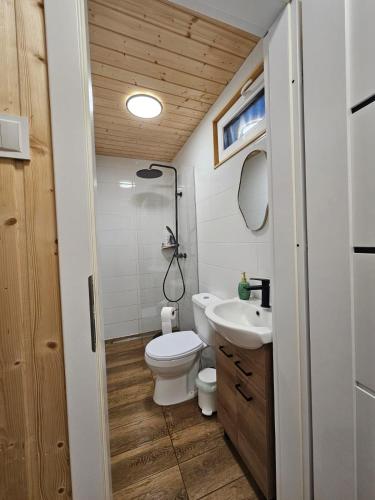 a small bathroom with a toilet and a sink at Domek letniskowy nr 16 - jezioro Głębokie in Międzyrzecz