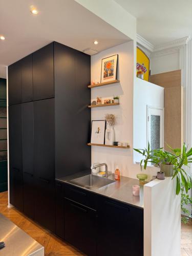 - une cuisine avec des placards noirs et un évier dans l'établissement Ainay - Luxury apartment - 2 bedroom and 2 bathroom, à Lyon