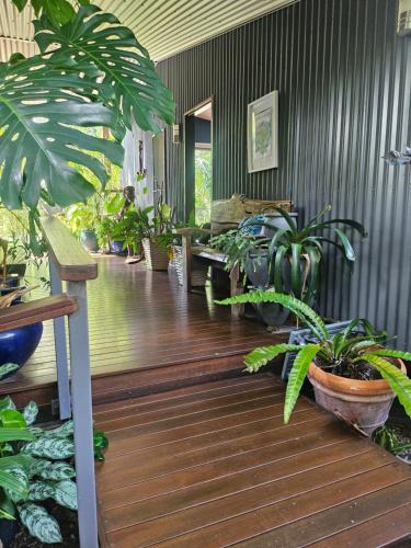 a room filled with lots of plants on a wooden floor at Windspray in Horseshoe Bay