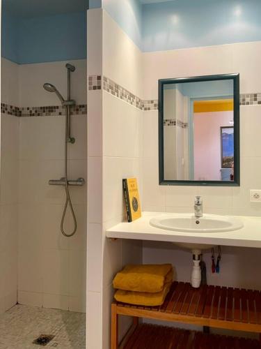 une salle de bain avec un lavabo et une douche avec un miroir dans l'établissement L'appartement d'Albert - french style, à Carcassonne
