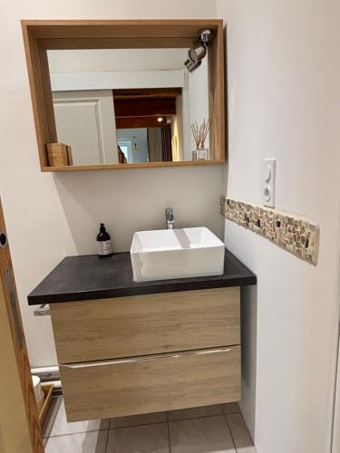 une salle de bain avec un lavabo et un miroir dans l'établissement Charmante petite maison avec terrasse et jardin, proche tram, à Castelnau-le-Lez