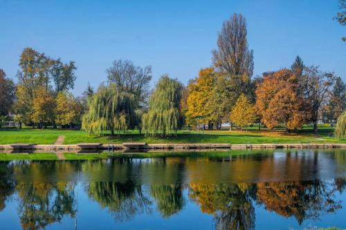 a pond in a park with trees in the background at Studio apartment PANORAMA in Karlovac