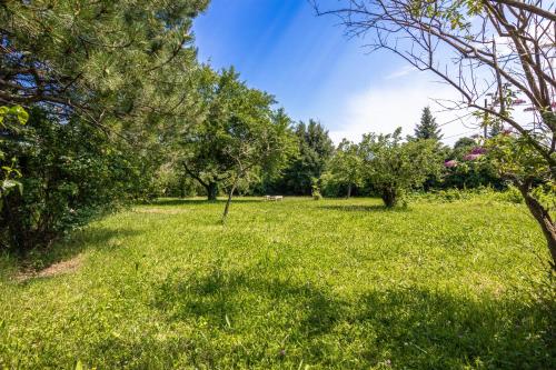 a field of green grass with trees in the background at Cozy Central 11BR shared Stay with Garden Access & Terrace in Vienna