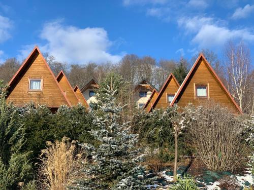 a row of cottages in the woods in the snow at Domki nad Soliną CZARNY KOT 509-797-777 in Solina