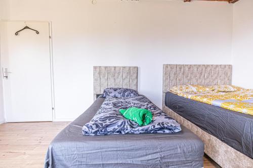 a bedroom with two beds and a green object on a blanket at Cozy Central 11BR shared Stay with Garden Access & Terrace in Vienna