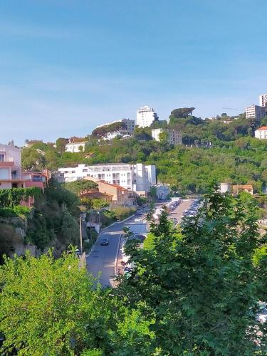 a view of a city with buildings on a hill at Appart centre ville, tout confort de 2 à 7 pers. in Bastia