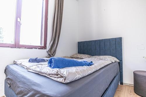 a bed with a blue headboard in a bedroom at Cozy Central 11BR shared Stay with Garden Access & Terrace in Vienna
