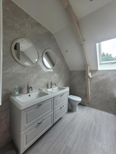 une salle de bain avec un lavabo, des toilettes et un miroir dans l'établissement Maison de Maitre du 19ème siècle- Honfleur, à Gonneville-sur-Honfleur