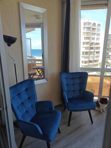 Studio cosy vue mer