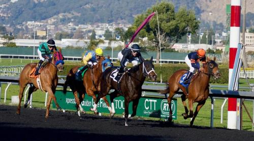 a group of jockeys riding horses on a race track at Brookhaven Lodge in Kilteely