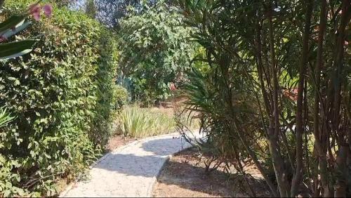 a path through a garden with trees and bushes at Magnifique Villa avec piscine in Cadenet