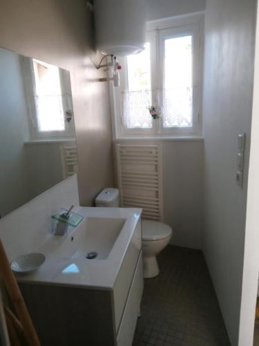 La salle de bains est pourvue d'un lavabo, de toilettes et de 2 fenêtres. dans l'établissement Maison Clair de Lune, à Buzançais