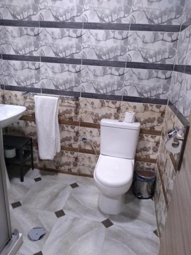 a bathroom with a toilet and a sink at Hospedaje Ronda de Poniente in Torrejón de Ardoz