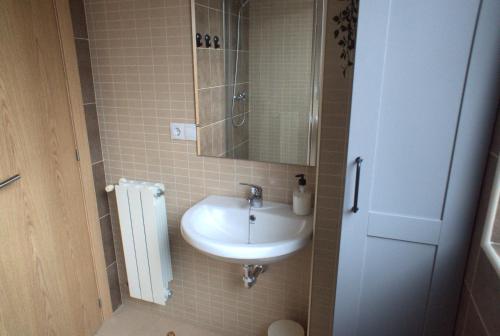 a small bathroom with a sink and a mirror at Apartamento Cantabria Verde in Los Corrales de Buelna