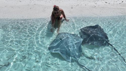 a woman standing in the water next to a stingray at Uhoo's Lavish Oasis in Felidhoo