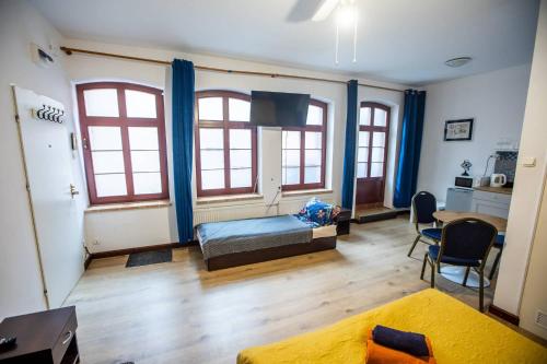 a living room with a bed and two windows at Planetarium - Stare Miasto, Parking Free in Toruń