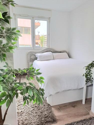 une chambre blanche avec un lit et une fenêtre dans l'établissement Charmant appartement cosy plage, gare, centre-ville, à Cagnes-sur-Mer