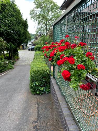 a fence with red flowers on the side of a building at Pension am Tiefen See in Potsdam
