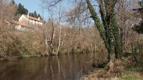 une rivière avec des arbres et un bâtiment en arrière-plan dans l'établissement studio 19M2 proche de Vulcania, à La Celle-sous-Gouzon