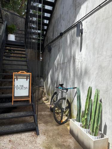 Jízda na kole v ubytování Cactus Boutique nebo okolí