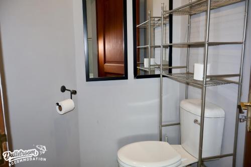 a bathroom with a toilet and a mirror at Cherry Grove 3 in Dullstroom
