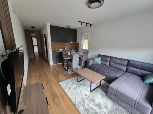 a living room with a couch and a table at Apartmani Banjski Biser in Jošanička Banja
