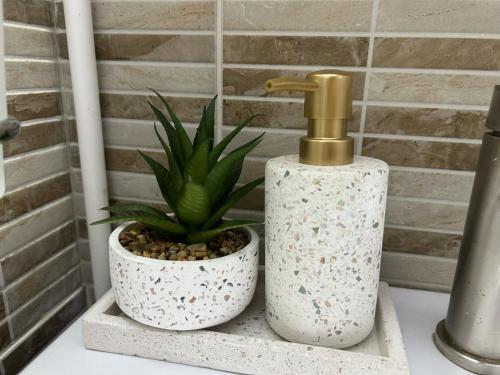 a bathroom with a plant and a faucet on a counter at Casa SOFI Nr 1, Breaza PH in Breaza
