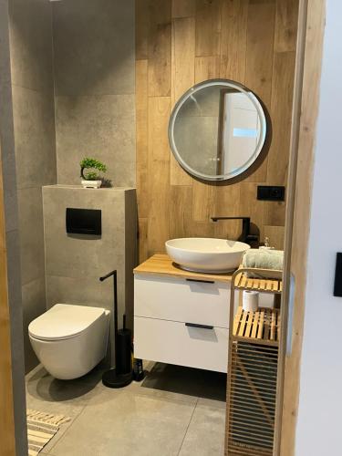 a bathroom with a white toilet and a mirror at Dom pod orzechem in Spytkowice