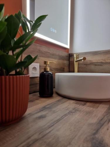 La salle de bains est pourvue d'un lavabo blanc et d'une plante en pot. dans l'établissement Appartement Village Naturiste Paradoxia, au Cap d'Agde