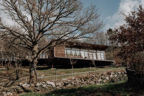 a house with a tree in front of it at Casal Oseira in Ourense
