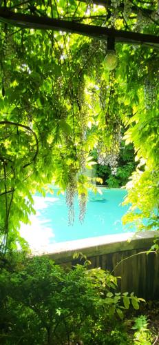 a view of a river through the trees at The Secret Garden in Herentals