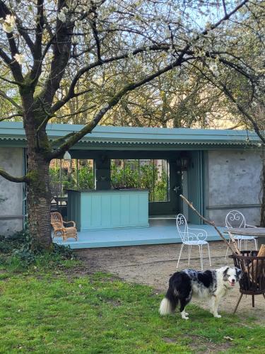 a black and white dog standing in front of a house at The Secret Garden in Herentals