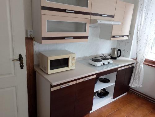 Apartmán - ubytování Močidlecにあるキッチンまたは簡易キッチン