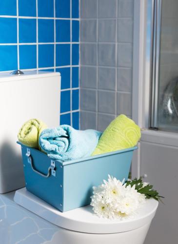 a blue box sitting on top of a toilet in a bathroom at Hotel Alcides in Ponta Delgada