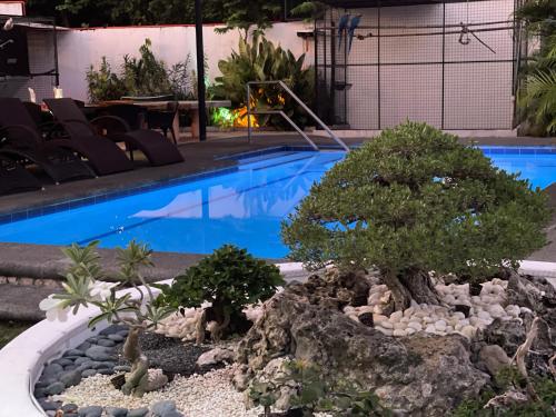 a bonsai tree in front of a swimming pool at Parrot Resort Moalboal in Moalboal